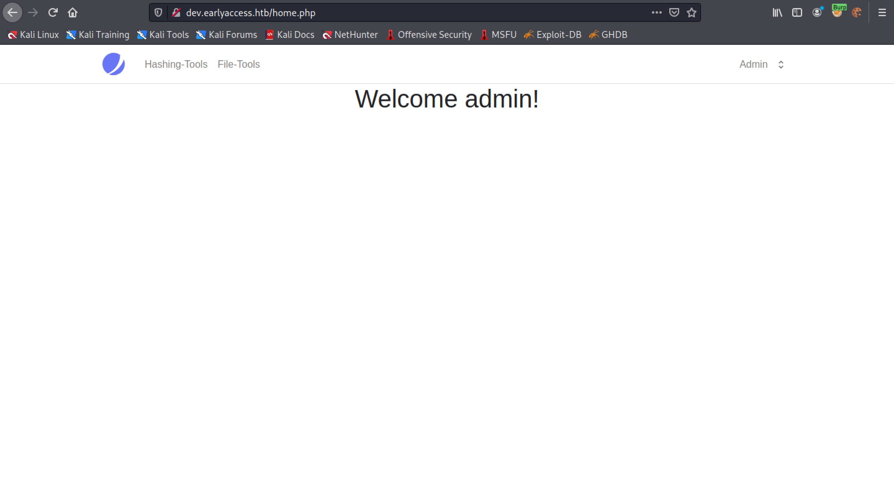 Redirected to the home page for the admin user.