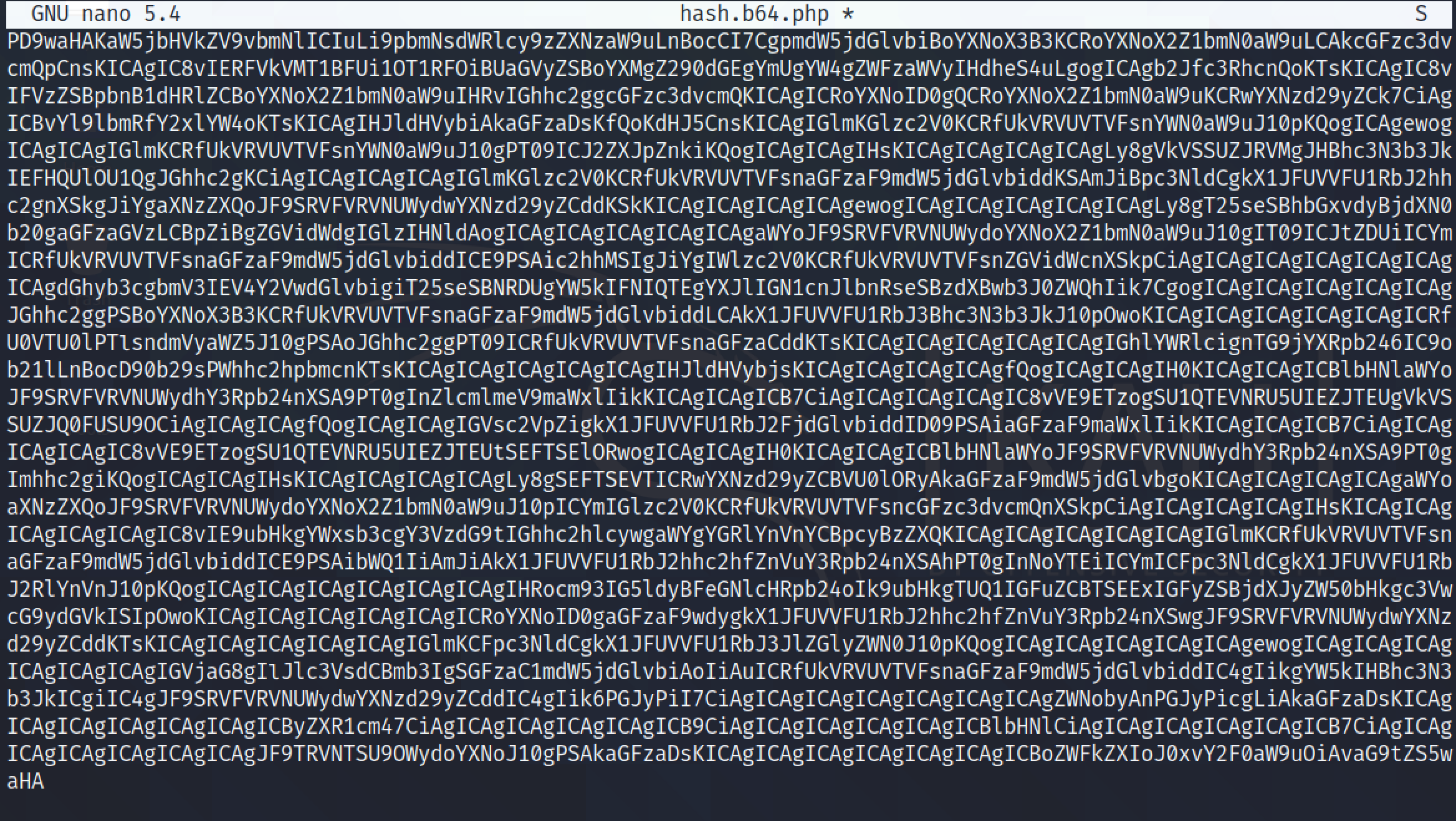 Pasting the Base64 encoded string in a file.