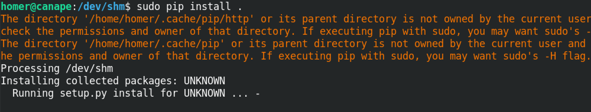 Installing the Python script via pip.