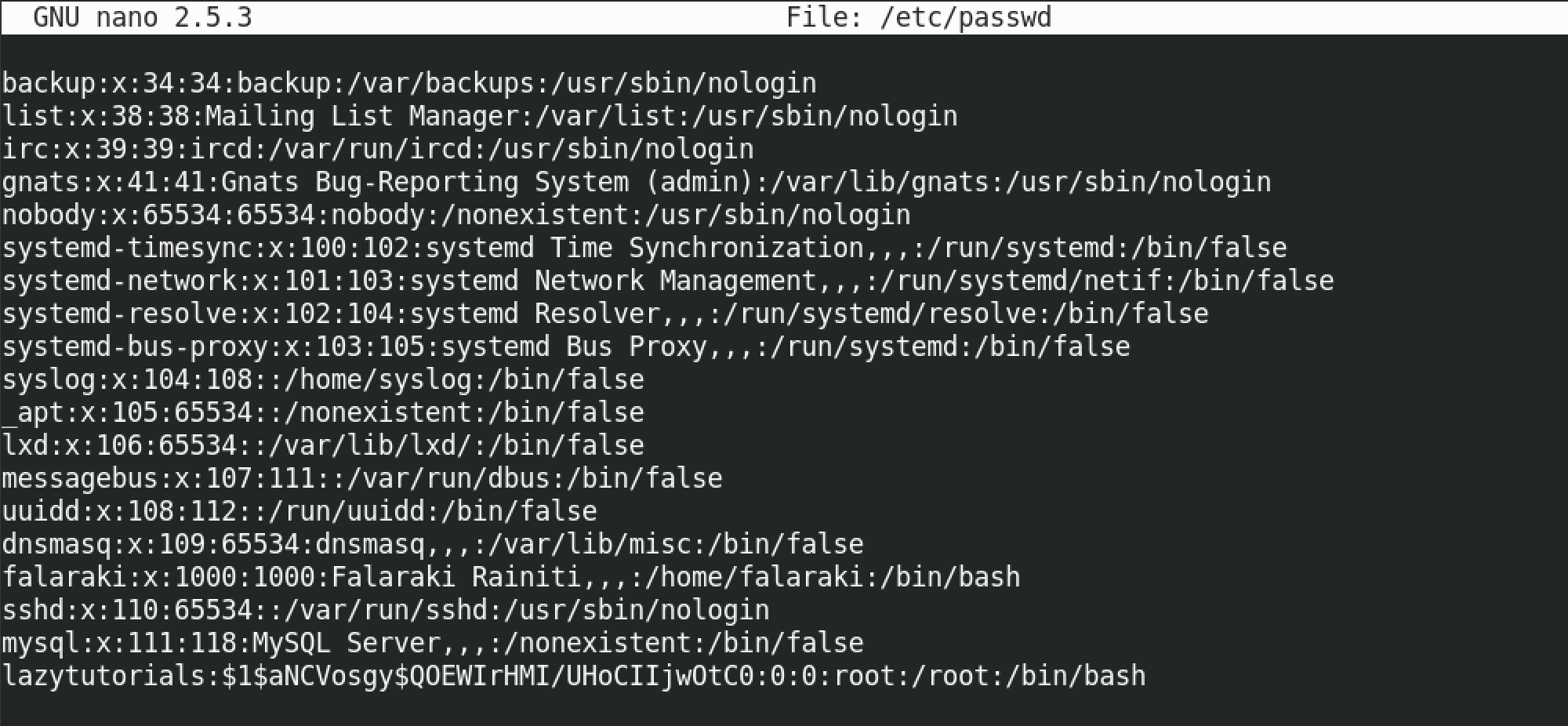 Contents of the /etc/passwd file with the new user added.