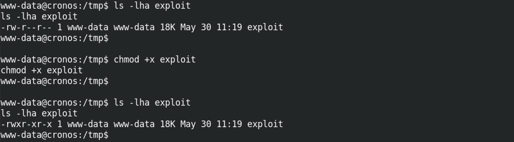 Set the executable bit on the exploit.